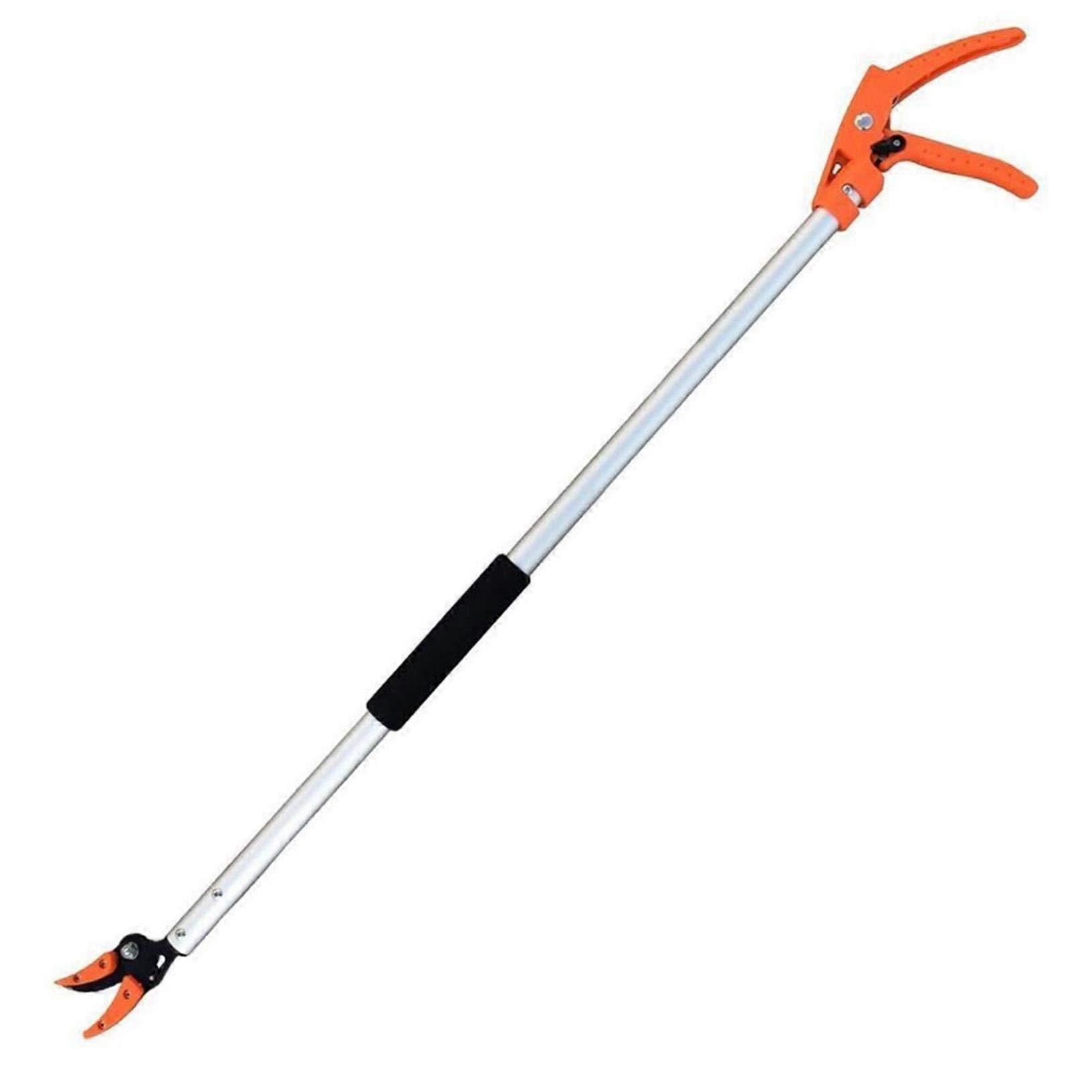 Telescopic Pruning Shears with Builtin Hold Function, Extendable Long Handle Fruit Picker Tool 1M