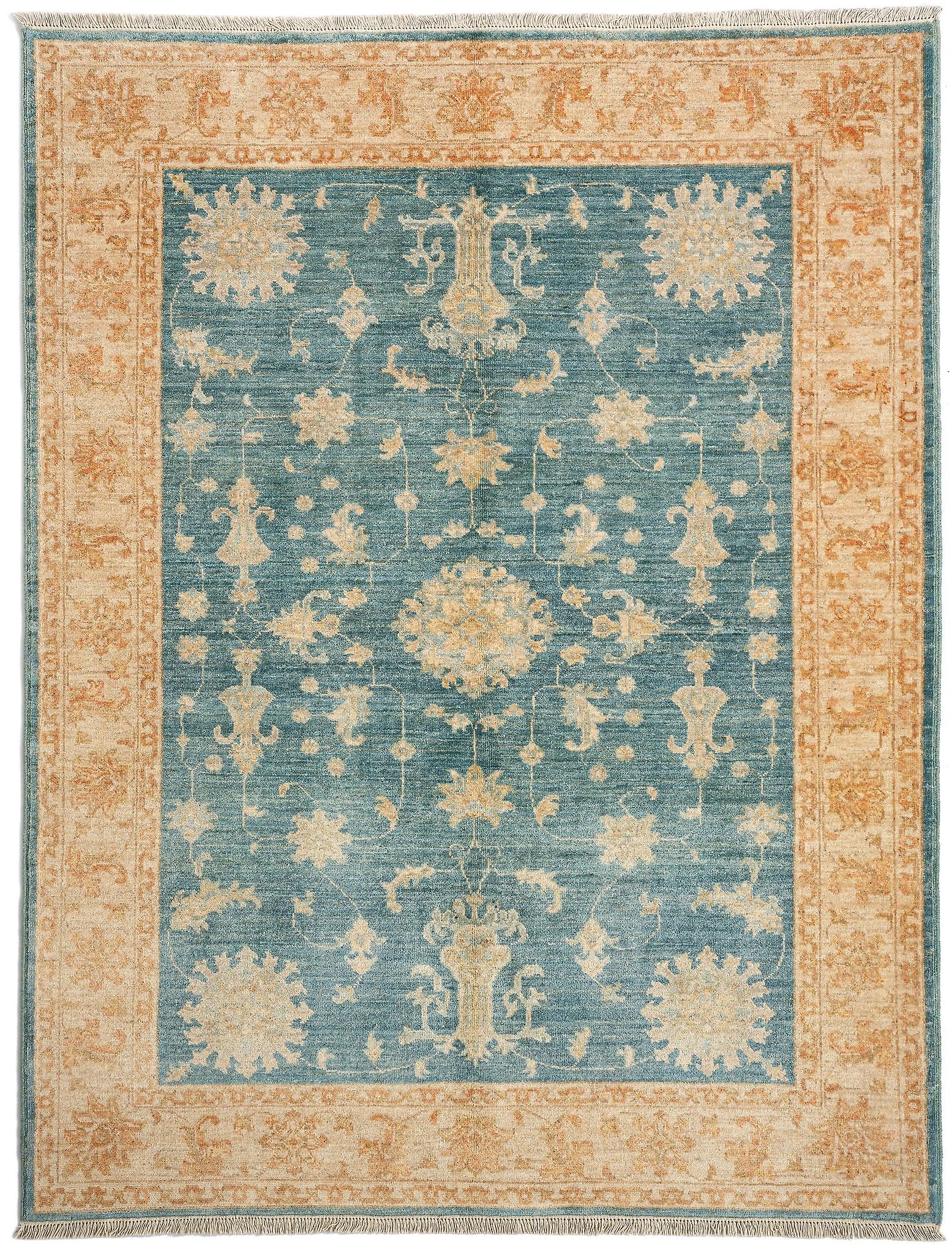 Hadorn Kaizar 153x200 带蓝色手工巴基斯坦地毯
