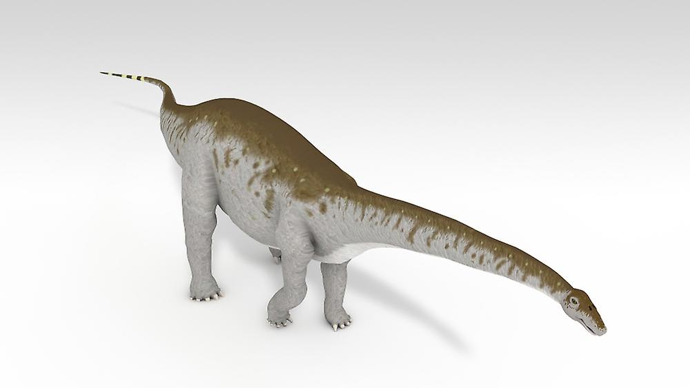 Apatosaurus dinosaur, white background. Poster
