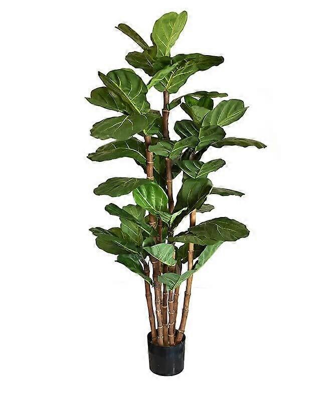 Lyrata træ (165 cm)