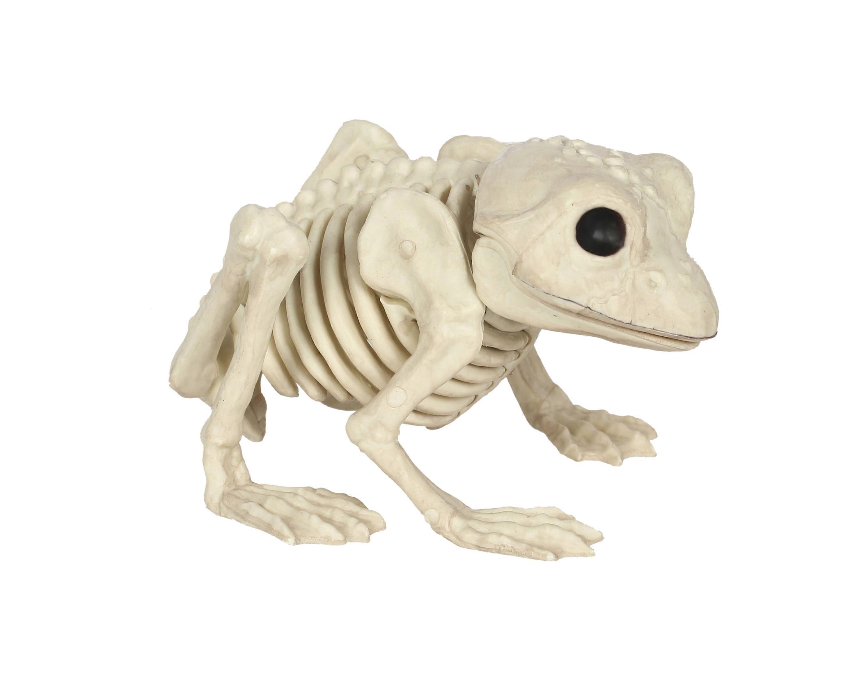 Frog Skeleton Halloween Decoration,2024 Ping
