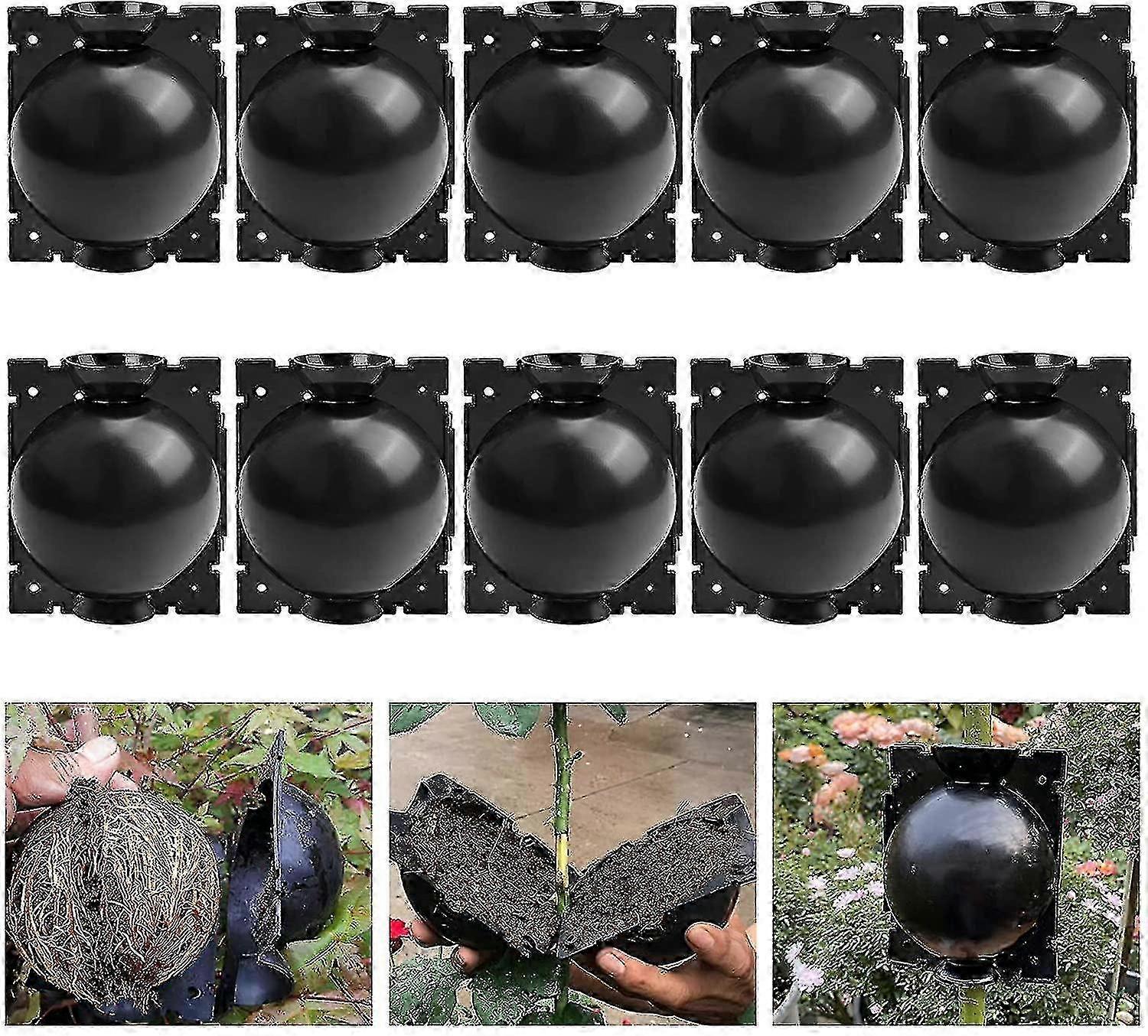 10 Pack Plant Rooting Deviceplant Root Growing Box For Plant Propagation Reasable Propagation Rooting Ball