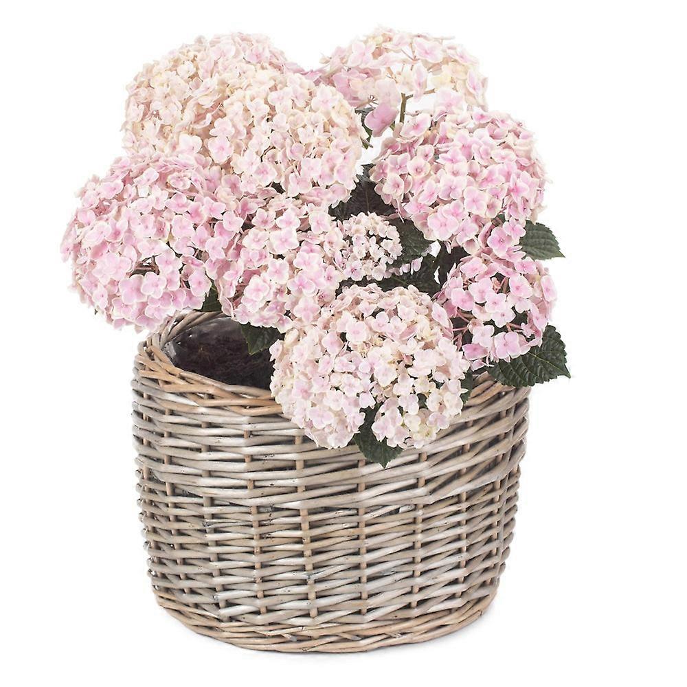 Round Antique Wash Wicker Planter