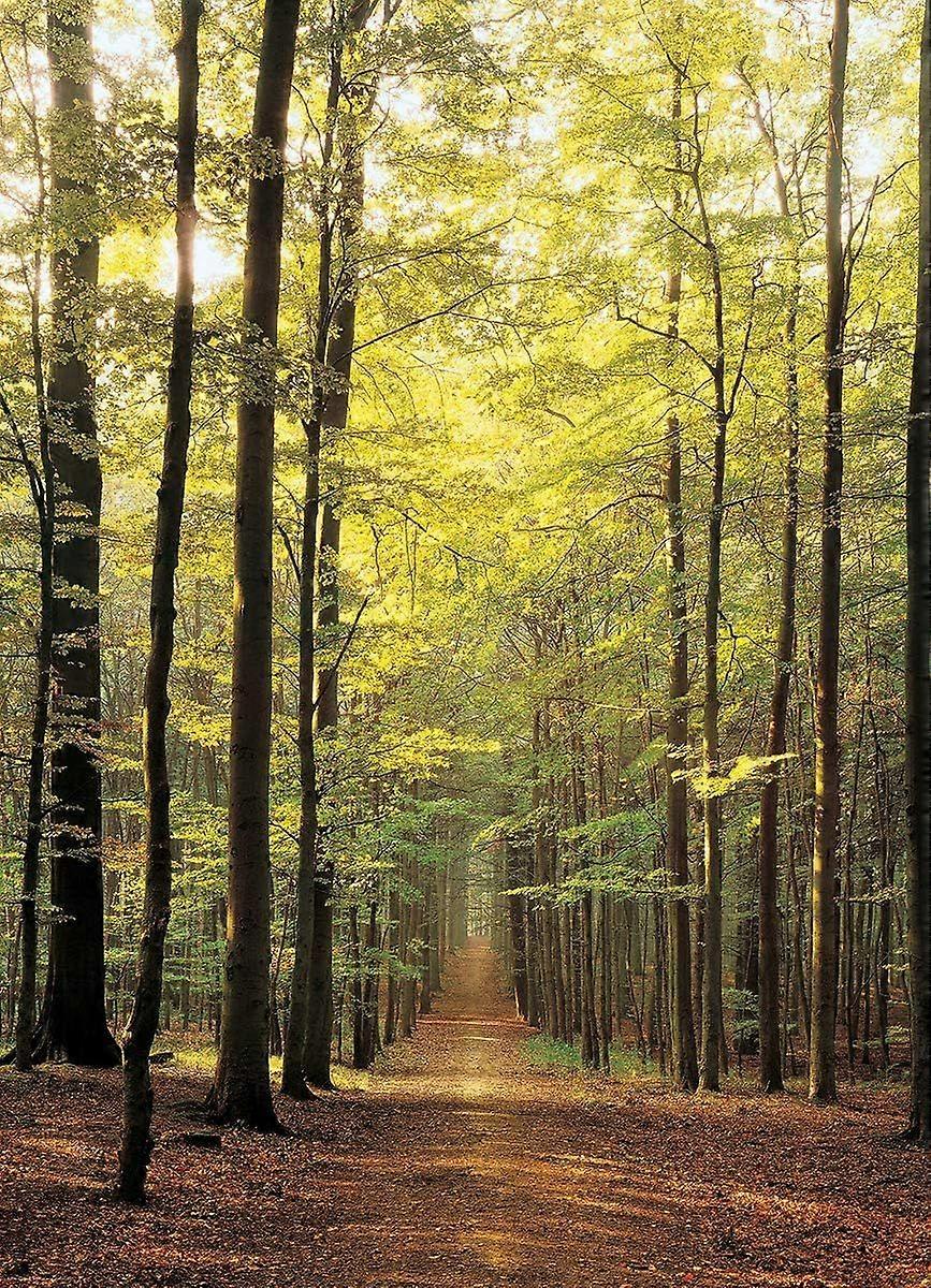 Sentiero Forestale Puzzle 1000 Pezzi