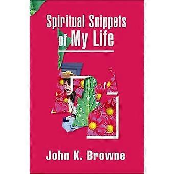 Spiritual Snippets Of My Life - John K. Browne - Paperback - en Book