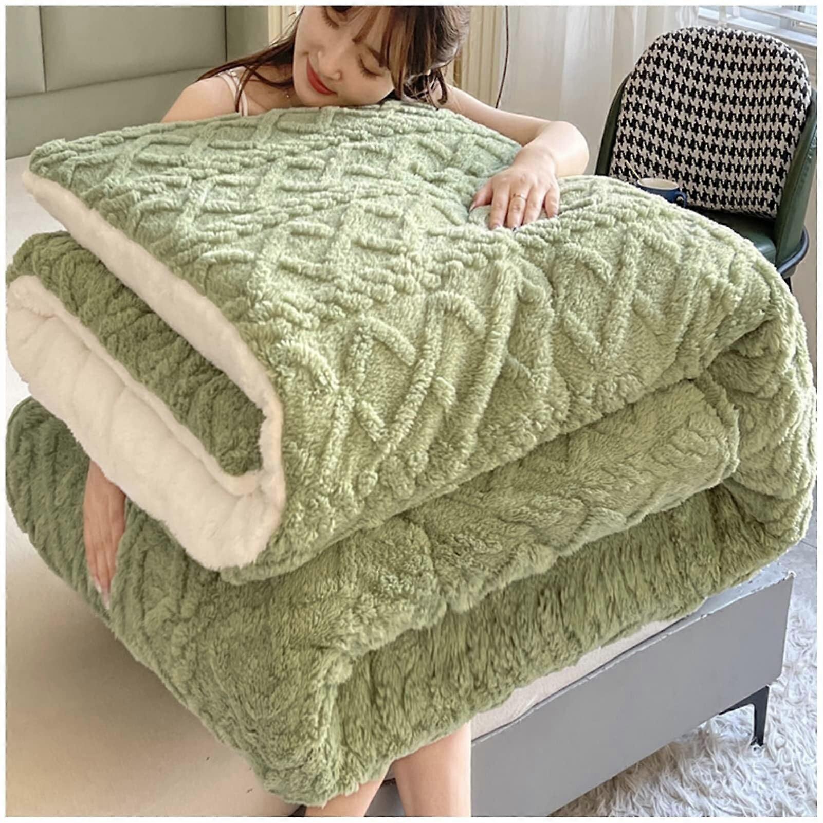 Plush Comforter Quilt, DoubleSided Lamb Fleece, Thickened Warmth, Reversible Velvet, 220x240 cm, 5 kg, Model E Bedding