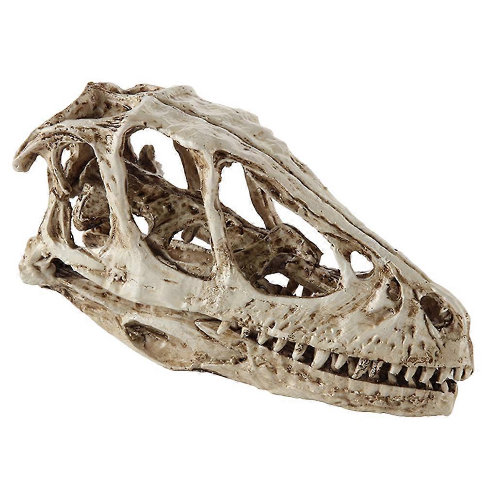 Simulated Dinosaur Skull Model White Resin Skeleton Model for Collectible