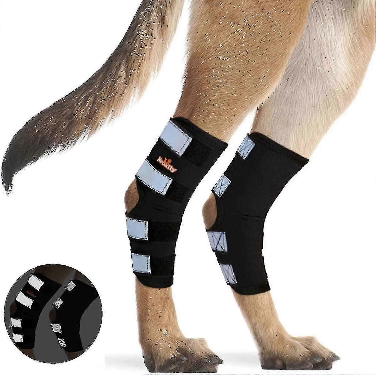Dog rear leg brace for joint support with reflective straps