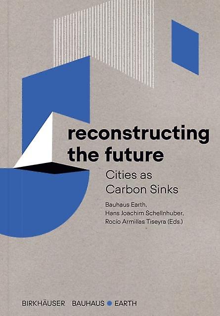Reconstructing The Future Paperback