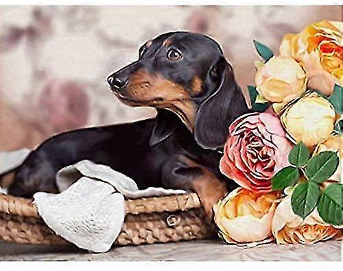 Dachshund Πλήρης 5d Diy Διαμάντι Ζωγραφική Σταυρός-βελονιά Σκύλος &λουλούδι 3d Διαμαντένια Ζωγραφική Πλήρης Στρας Πίνακες Ζωγραφική Κεντήματα Δώρα