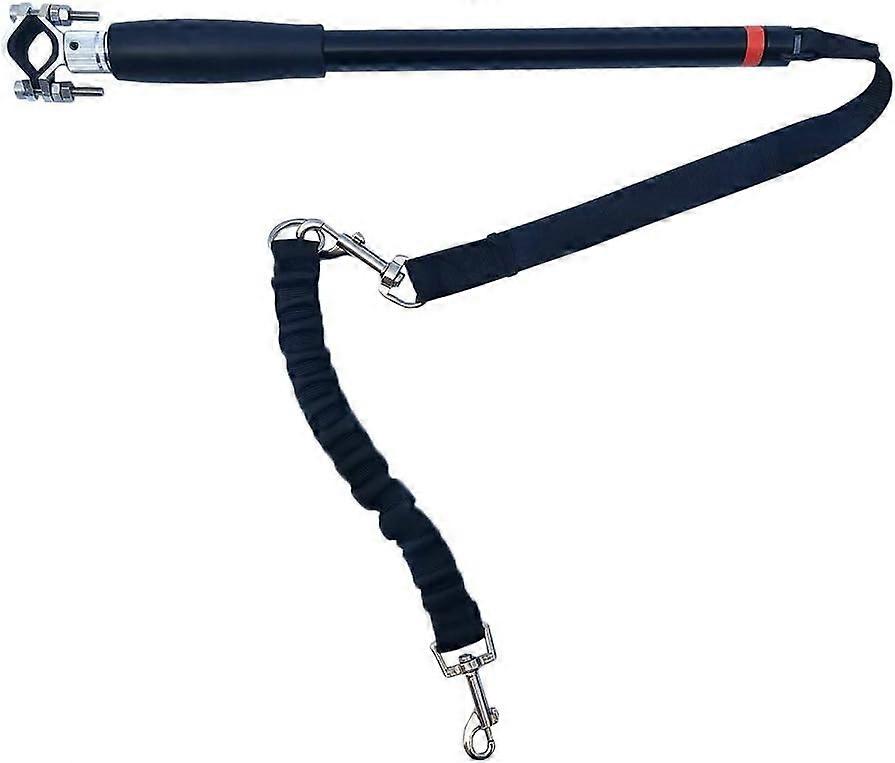 Dog leash with hands-free bicycle attachment