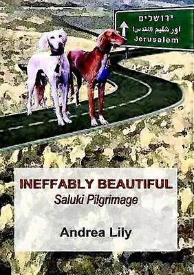 Ineffably Beautiful: Saluki Pilgrimage