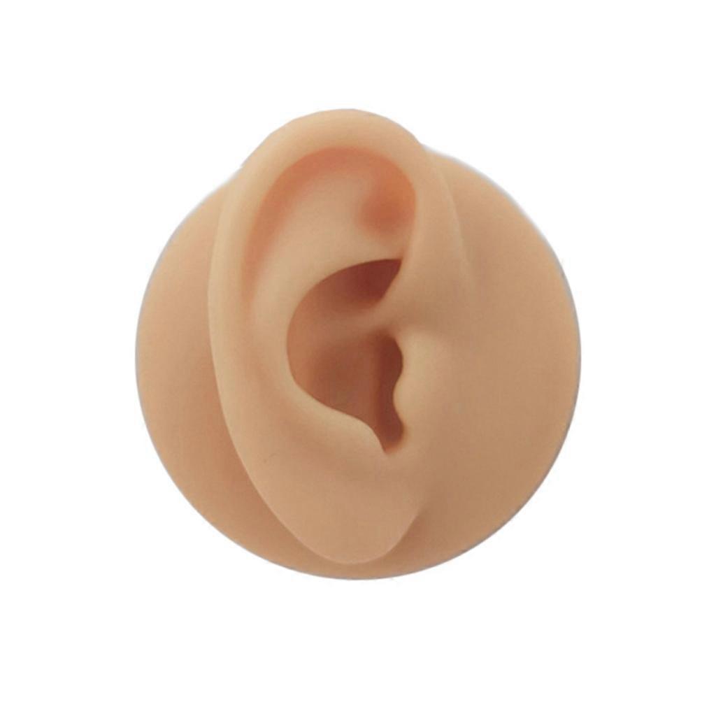 Soft Silicone Elastic Human Body Parts Display Screen for Acupuncture and Moxibustion Human Body Model Simulation