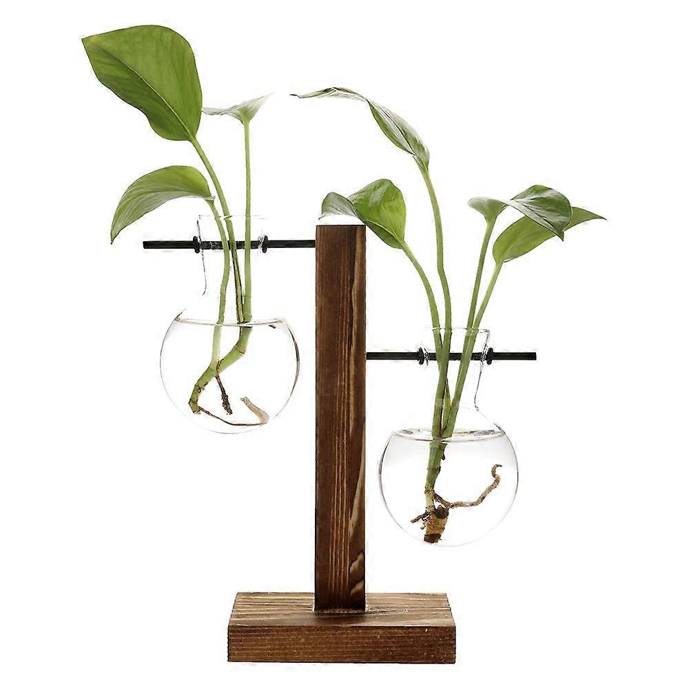 Clear Glass Planter Bulb Vase with Retro Wooden Stand and Metal Swivel Holder