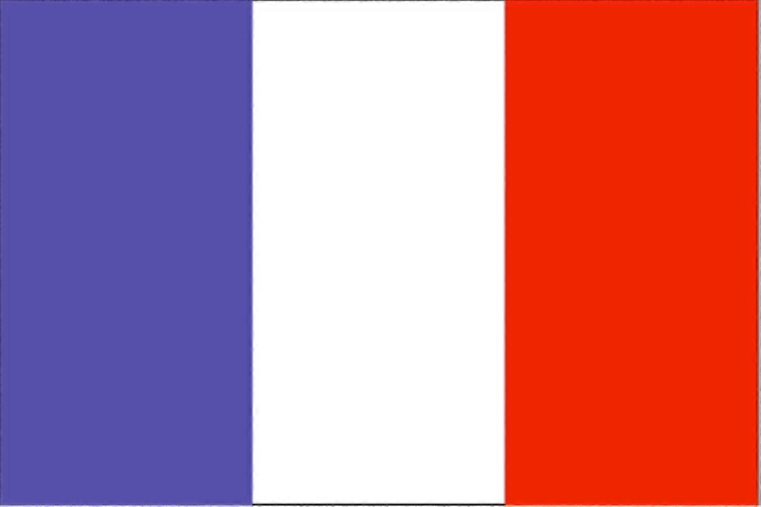 Flag Various Countries Of The World Polyester Flag