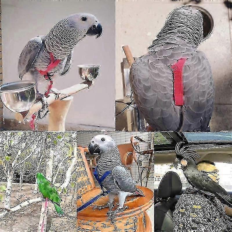 Parrot Bird Harness Leash Outdoor Flying Traction Straps Band Adjustable Anti-bite Training Rope A