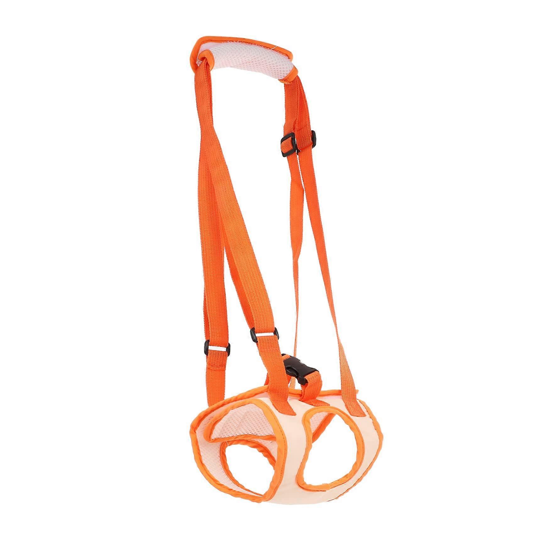 Back Leg Support for Dogs, Adjustable Dog Lift Harness for Older Dogs, Pet Support Aid, Durable Exercise Belt for Walking