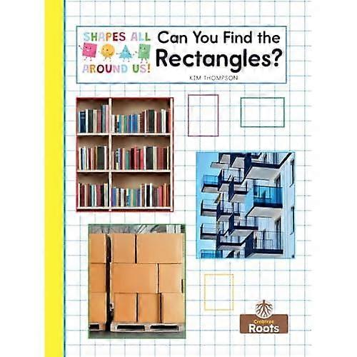 Can You Find the Rectangles?