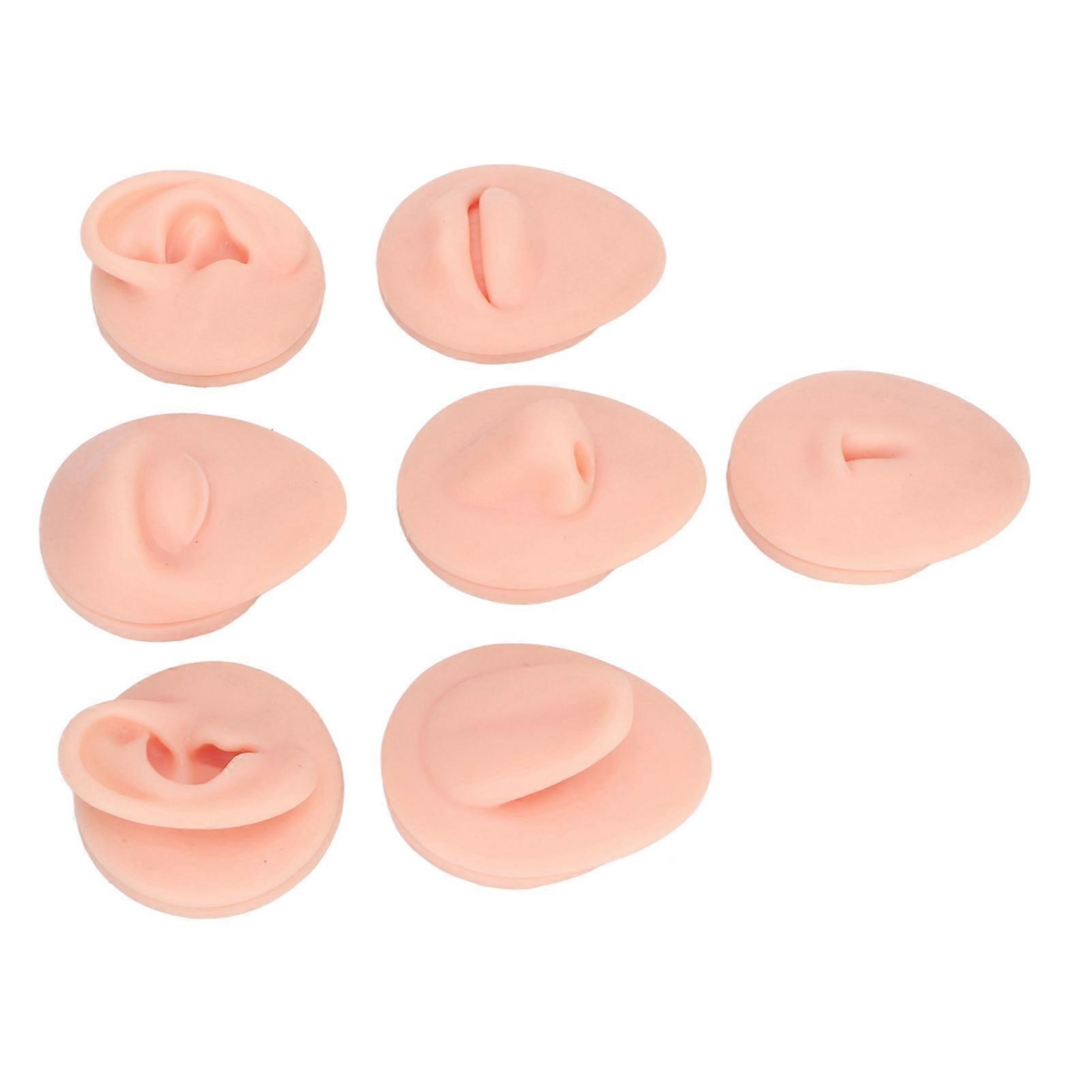 Silicone Body Part Model Soft Silicone Ear Mouth Nose Eye Tongue Navel Model with Display Rack for Teaching Display Practice