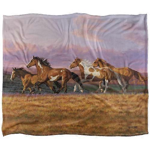 Wild Wings Sunset Cruise 2 Silky Supersoft Blanket