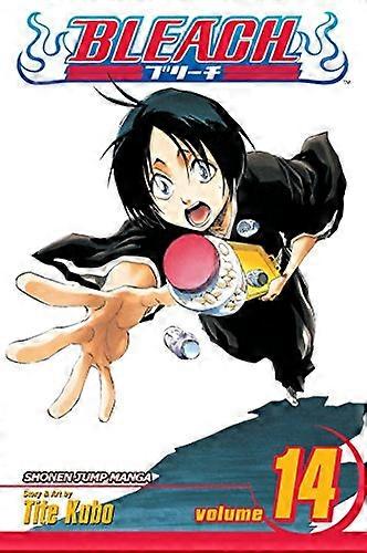 Bleach Vol. 14