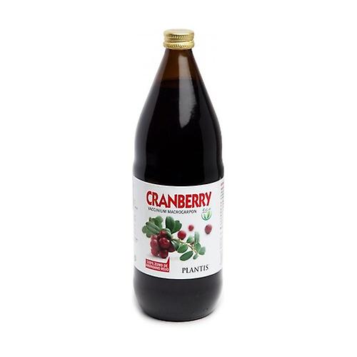 Cranberry Eco Plantis 1 L