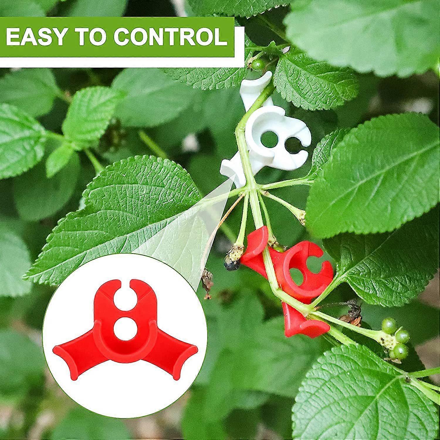 LST clips Low Stress Training