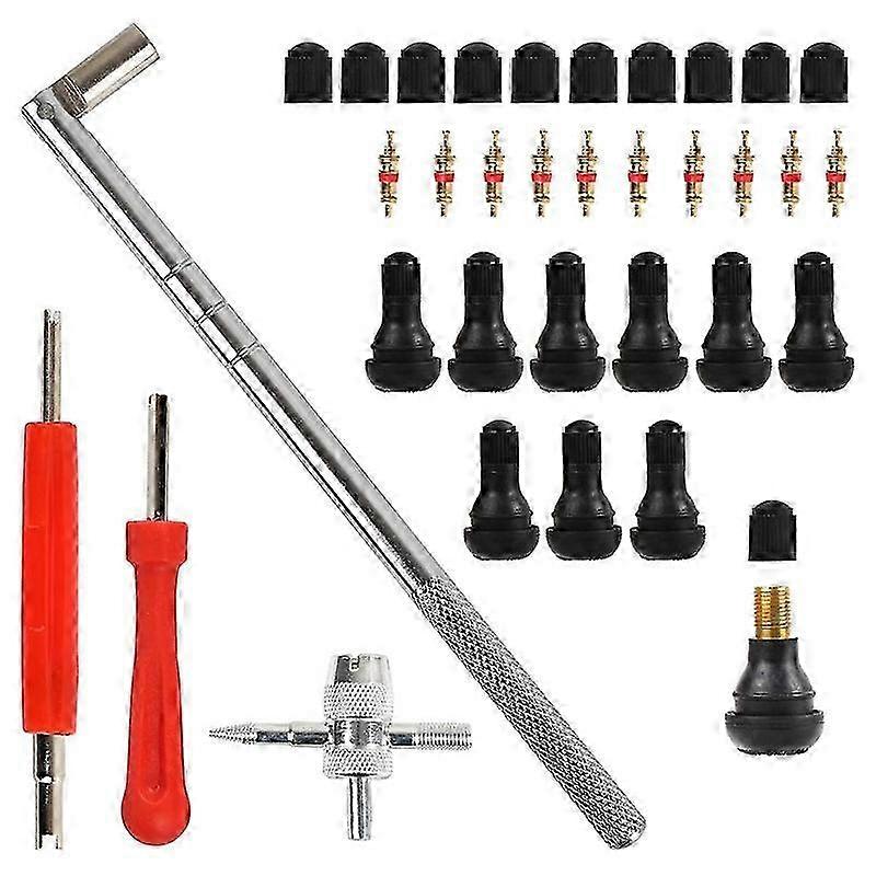 Tyre Valve Stem Puller Tools Set with TR412 Snap-in Valve Stems, Valve Stem Cores Dual Single Valve