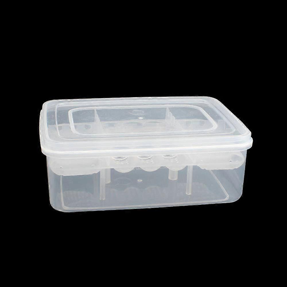 Reptile Incubator Box, Transparent Cover, 16 Egg Capacity, Easy to Clean