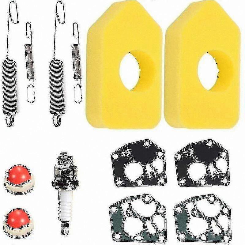 Diaphragm Kit with Air Filters, Gasket, Regulator Spring for Small Engines
