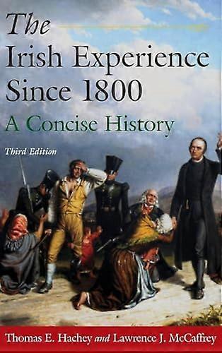 The Irish Experience Since 1800: A Concise History: A Concise History