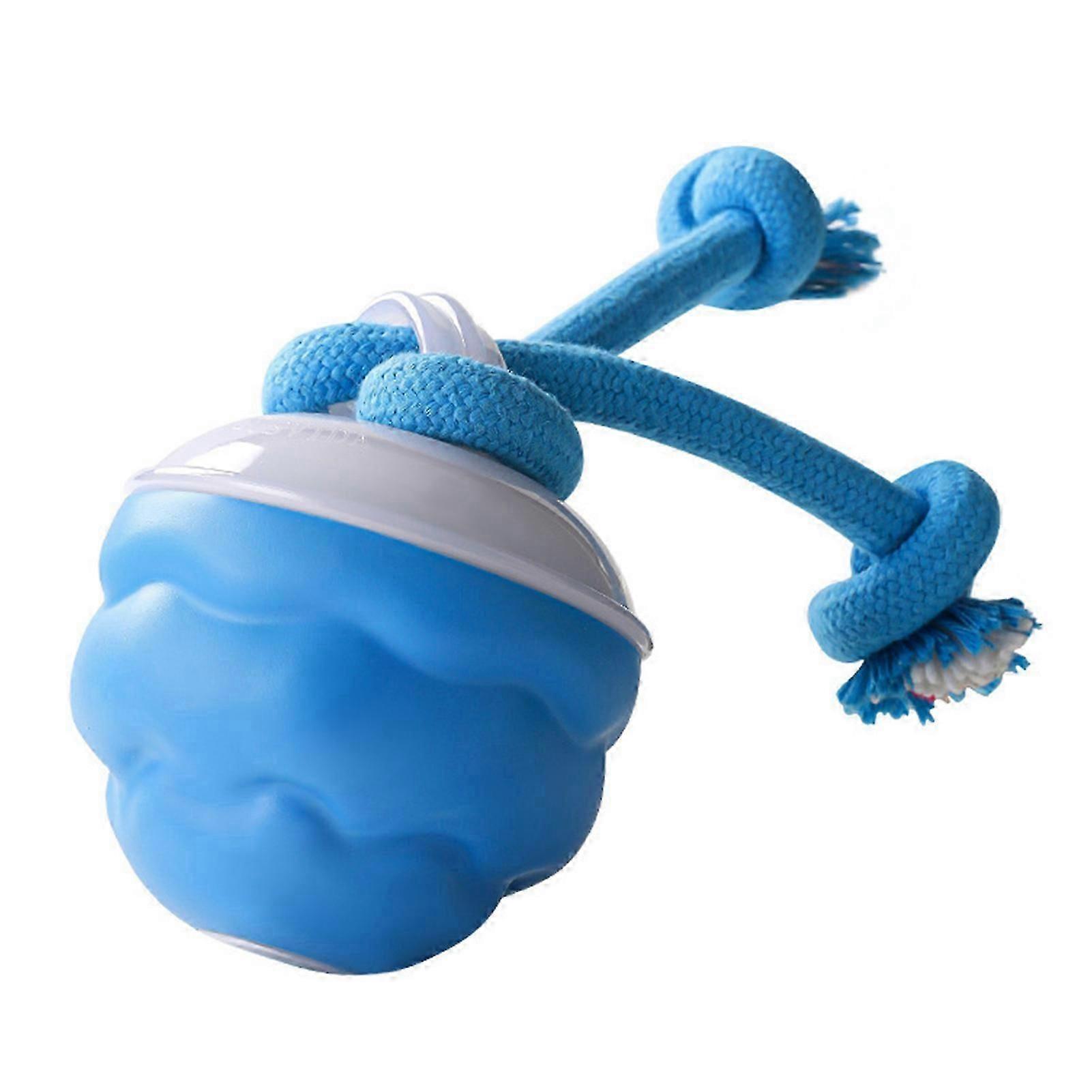 Interactive Balls for Cats and Dogs