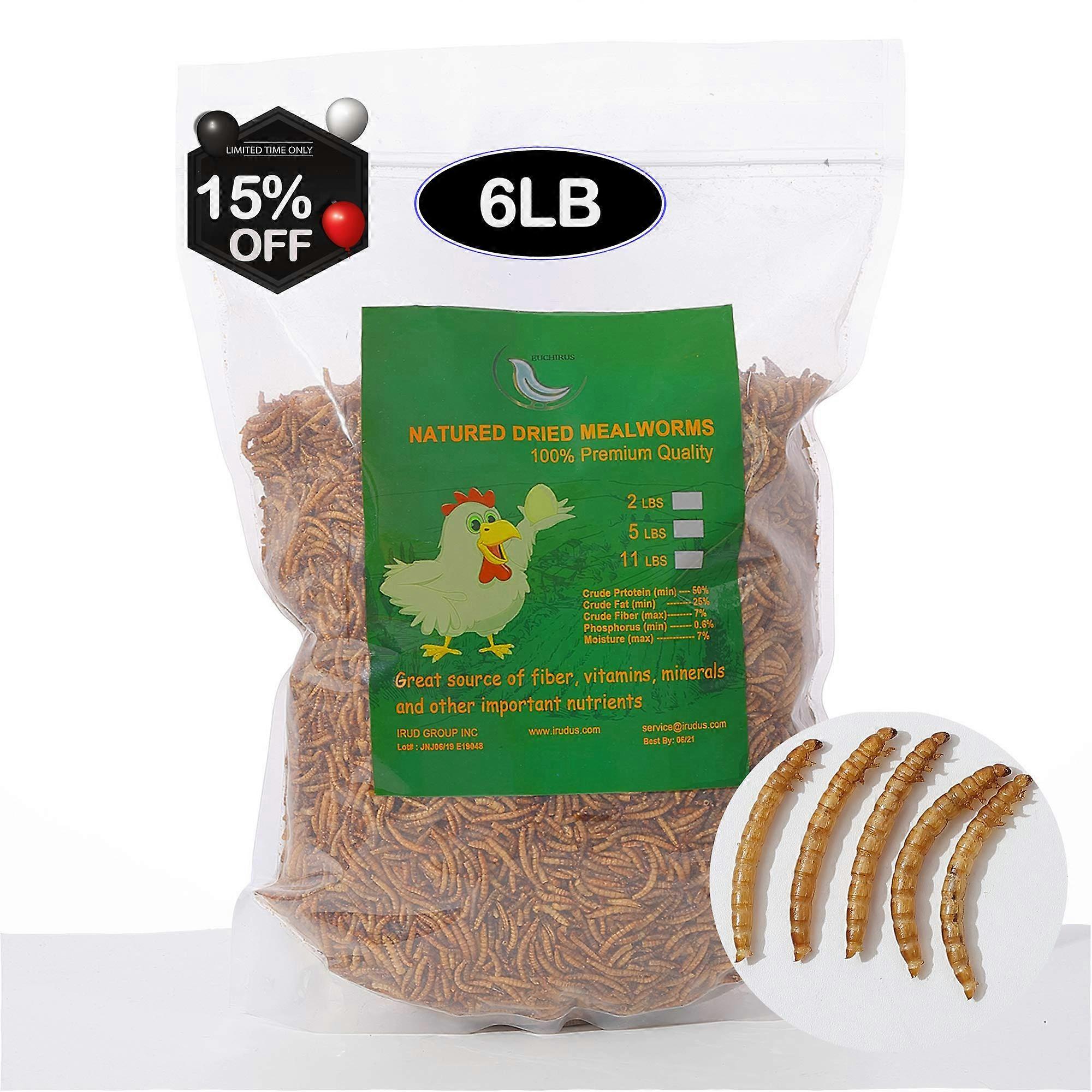 6LB Dumbbell Easy Grip Compact Hand Weight for Home Workout and Strength Training