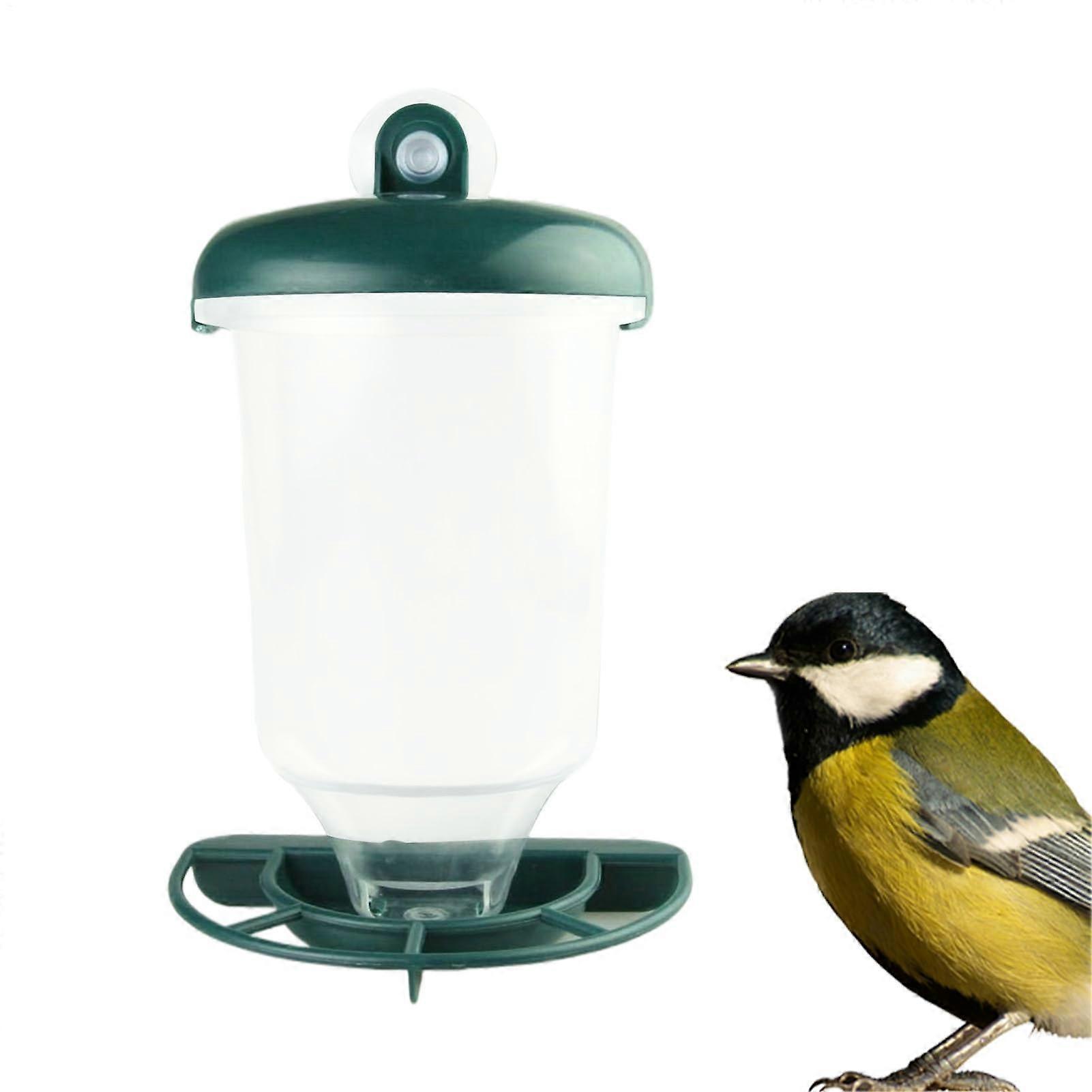 Window Bird Feeder with Secure Suction Cups, Clear View, Weatherproof and SquirrelProof Design