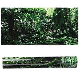 PVC-Reptilienbox, Regenwald-Hintergrund, Poster, Aquarium, Wandbild, Malerei, Dekoration, selbstklebender Aufkleber (91 x 50 cm)