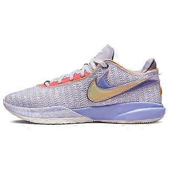 Nike LeBron 20 « Violet et or » DJ5423-500