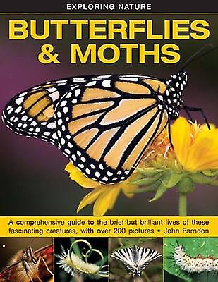 Exploring Nature Butterflies Moths by Farndon John Paperback Book