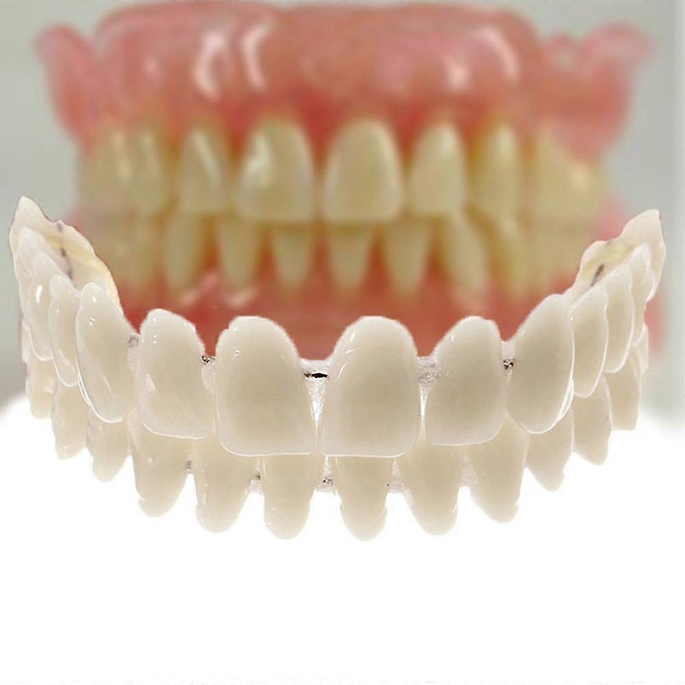 Artificial False Teeth Double Plastic Double Row Fake Teeth Denture Oral Teaching Model Tool