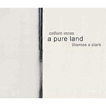 Callum Innes a pure land