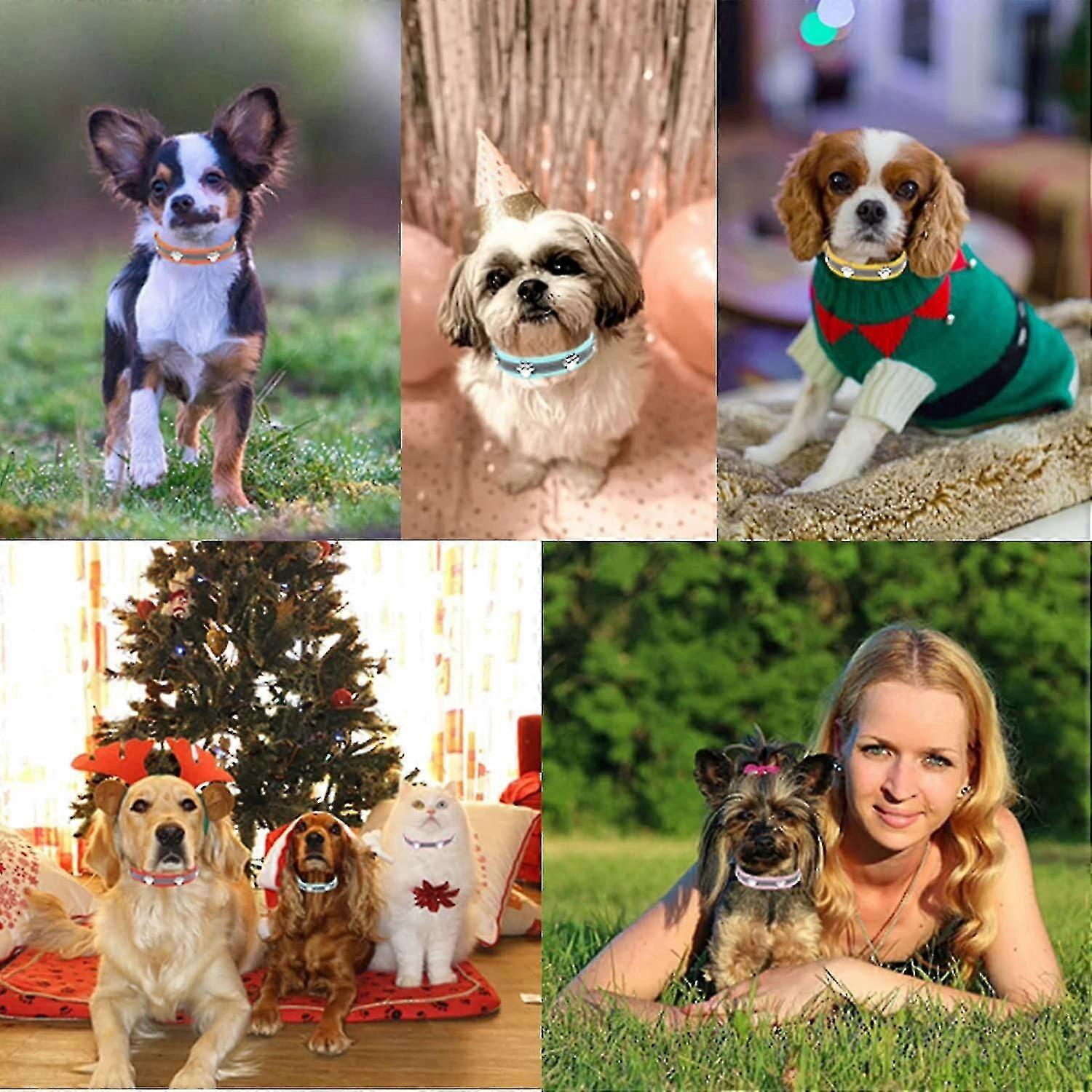 طوق الكلب العاكس مع لطيف مخلب برشام مرصع مضحك لينة بو الجلود قابل للتعديل جرو الكلب الياقات للكلاب الصغيرة والمتوسطة الكبيرة القطط الأسود الكبير (باك