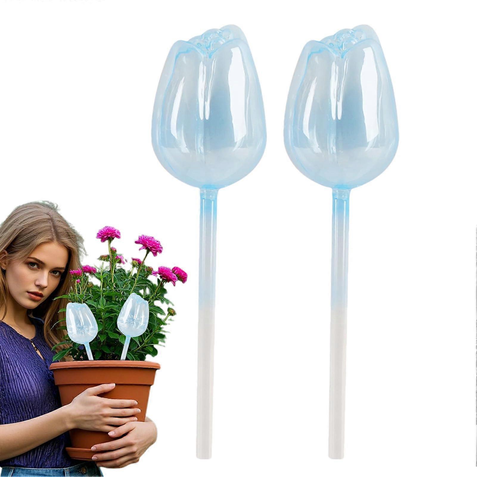 Plant Watering Balls 2 x Automatic Spikes for Watering, Car Planter Insert SelfWatering