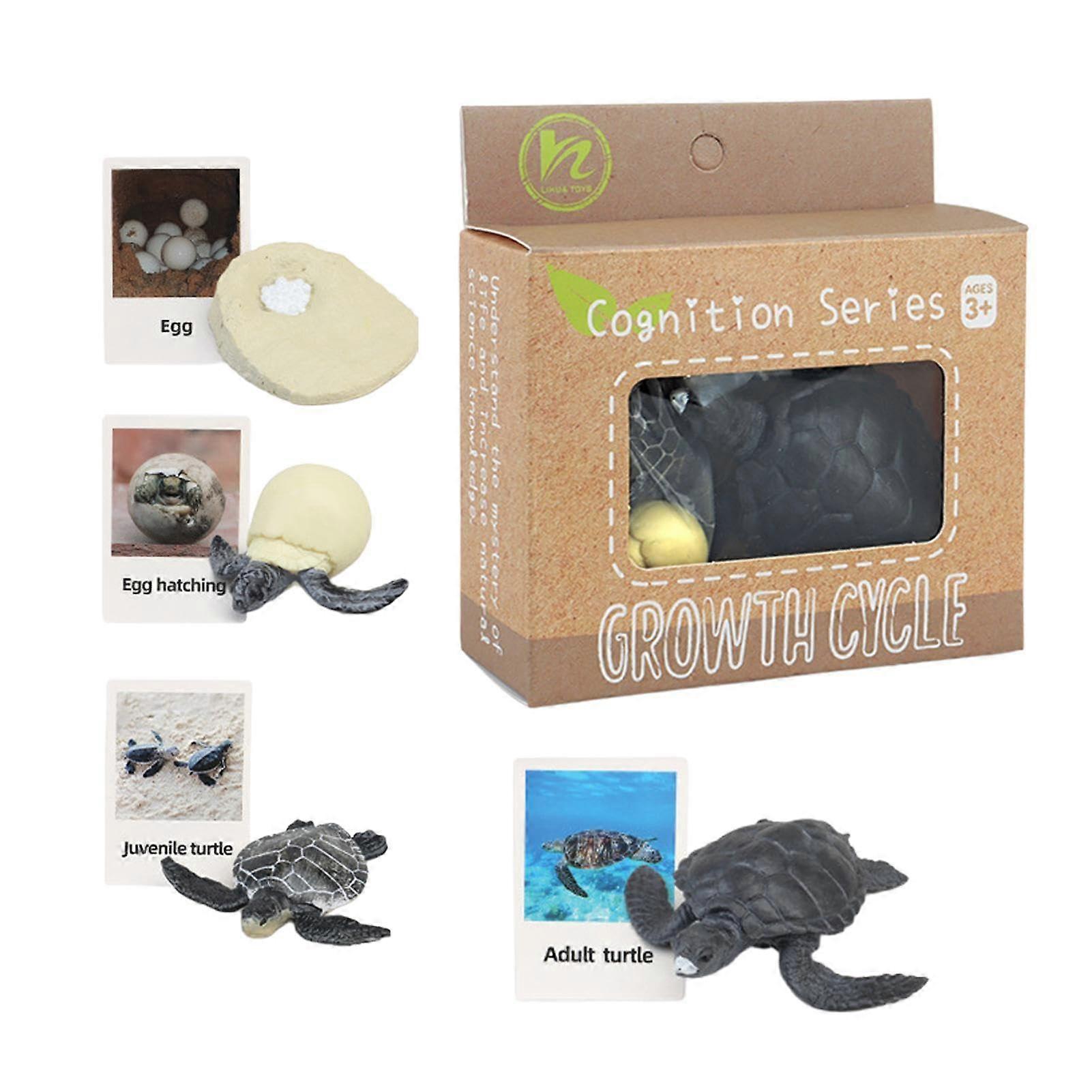 Animal Matching Set, Animal Figures Set Realistic Figure Set for Children