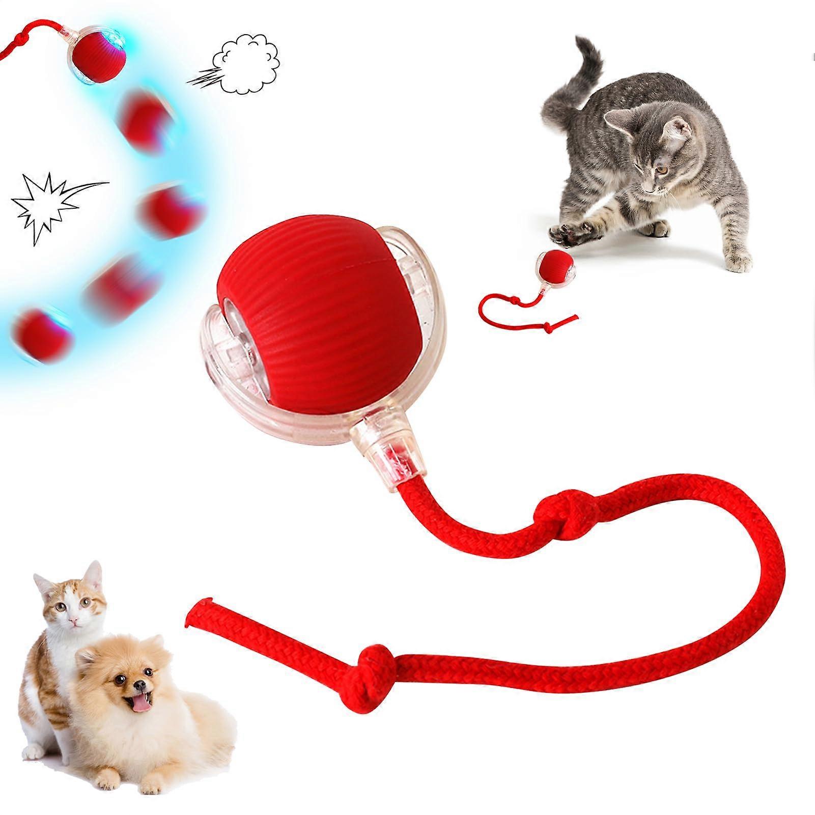 Interactive Cat Ball Toy USB-C Rechargeable Electric Rollball With Long Tail, 3 Modes, Indoor Outdoor Use, Red