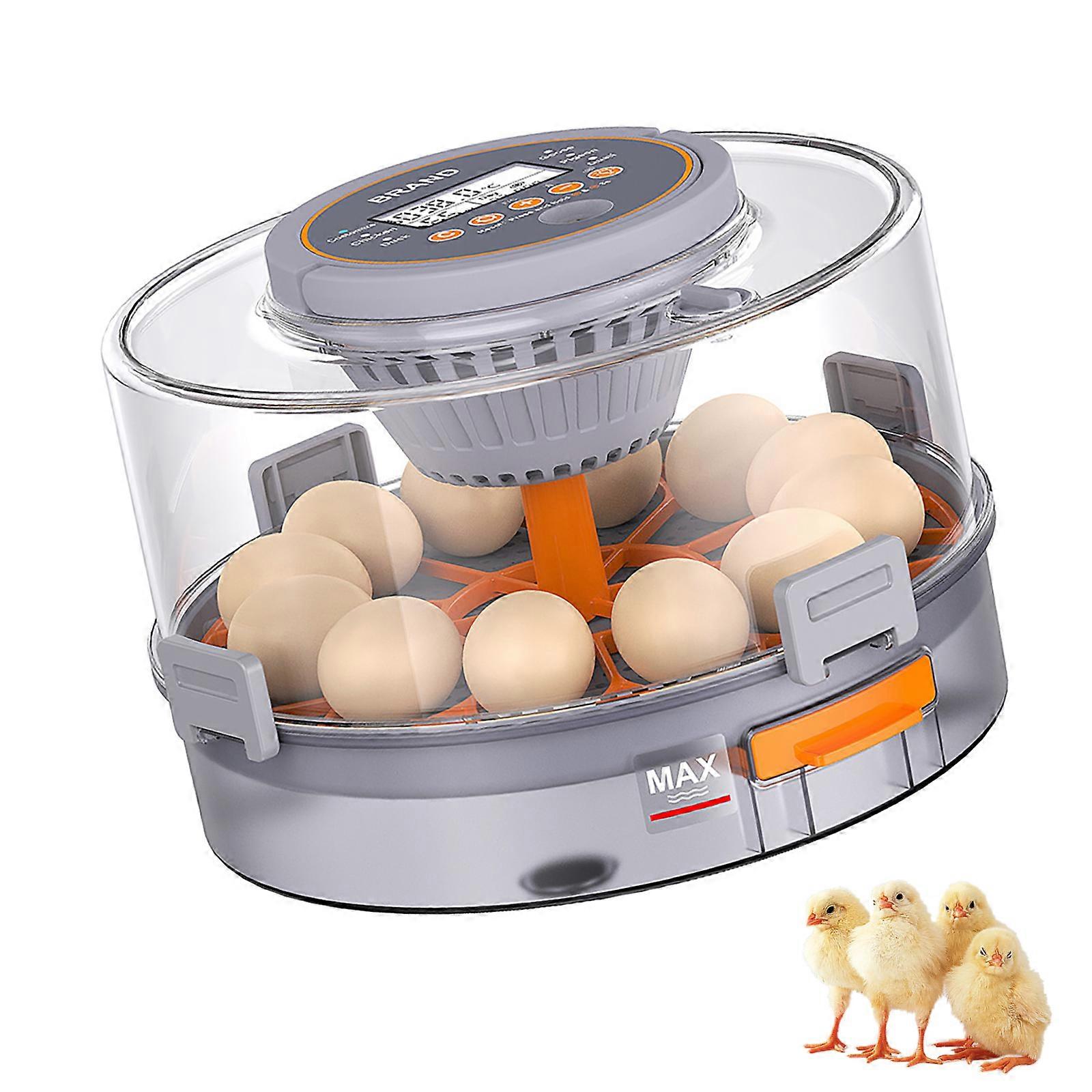 Professional Poultry Breeding Equipment With Auto Temperature Adjustment And Permanent ABS Plan Multicolor