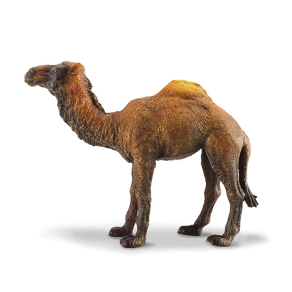 CollectA Realistic Animal Replica Dromedary Camel Figure Large Ages 3+ and Up
