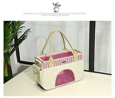 Pet Outing Bag Carrying Case Breathable Mesh Non-deformation Teddy Backpack