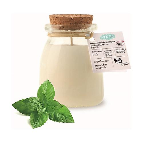 Natural scented candle mint small model 30h 120 g