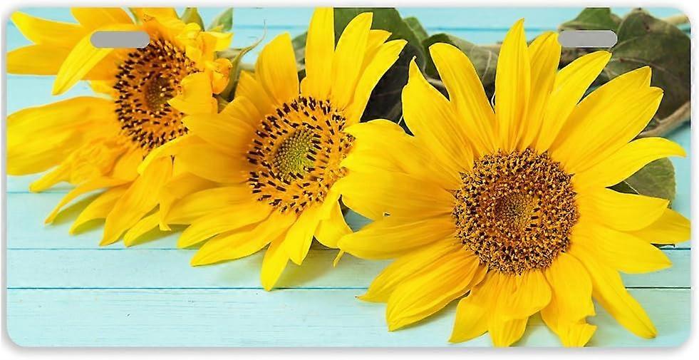 Tampa da placa de licença da etiqueta do carro do metal do girassol auto com 2 furos 11,8 x 6,1 polegadas