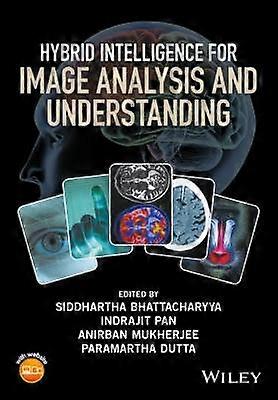 Hybrid Intelligence for Image Analysis and Understanding