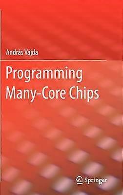 Programming Many-Core Chips